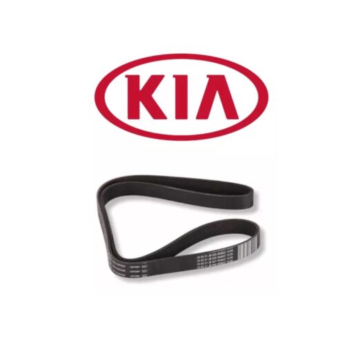 Correia Poly-V Original, Kia Cerato, Sportage, Soul, Carens, 1.6, 2.0, 16V, 2008 a 2017, Cód 252122B020N