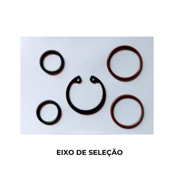 Kit de Reparo de Vedação Câmbio Dualogic, Linea, Stilo, Punto, Strada, Palio, Cód FS3005 - Image 5